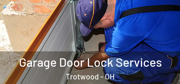 Garage Door Lock Services Trotwood - OH