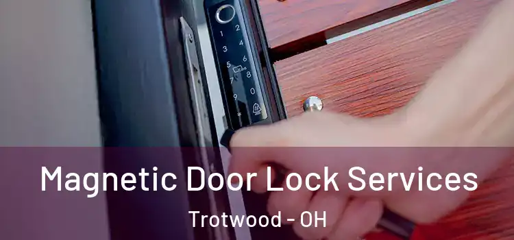 Magnetic Door Lock Services Trotwood - OH
